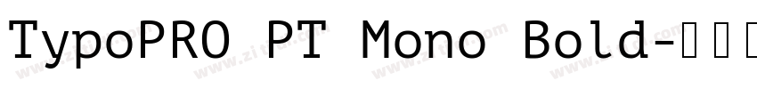 TypoPRO PT Mono Bold字体转换